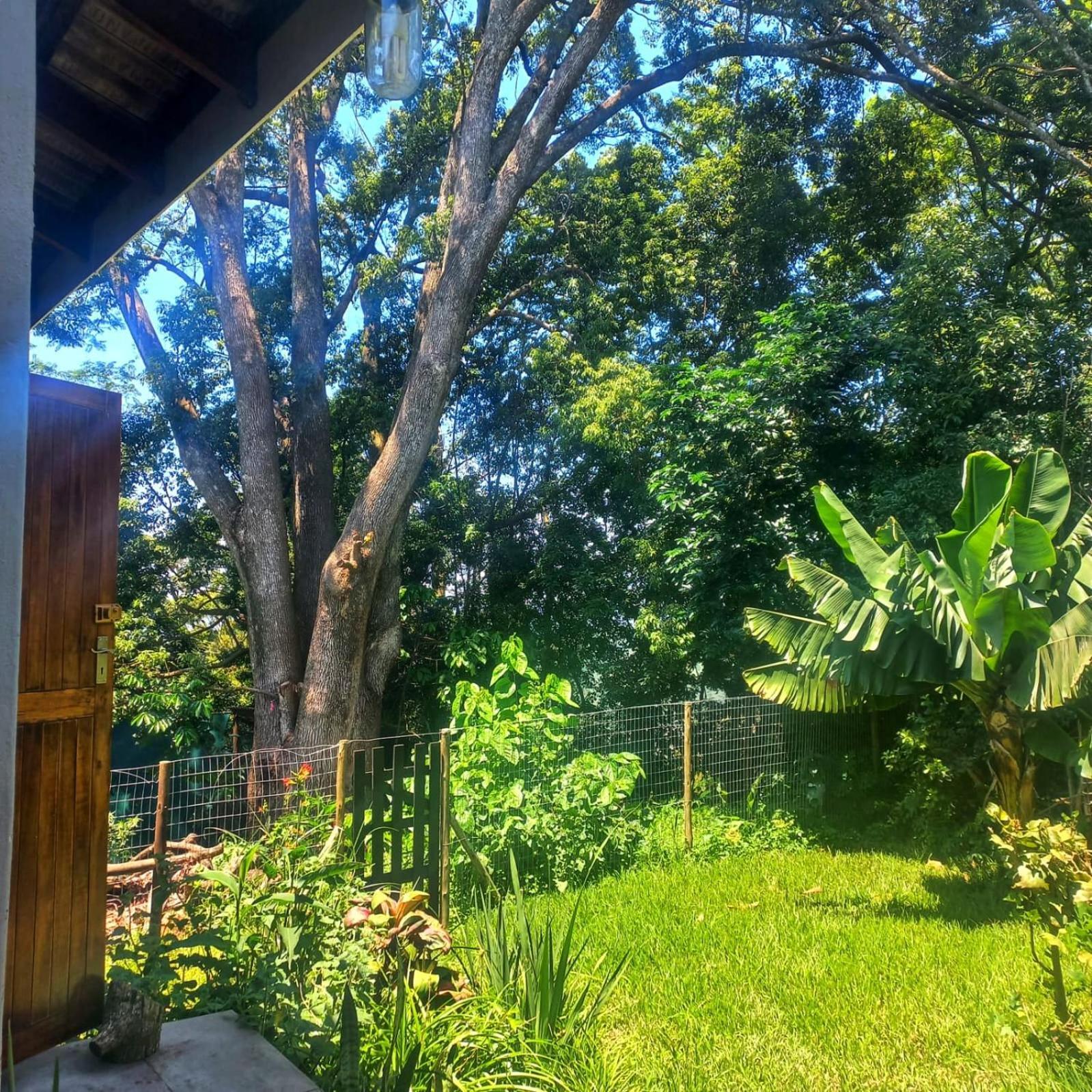 Gillitts Highview Lodge מראה חיצוני תמונה