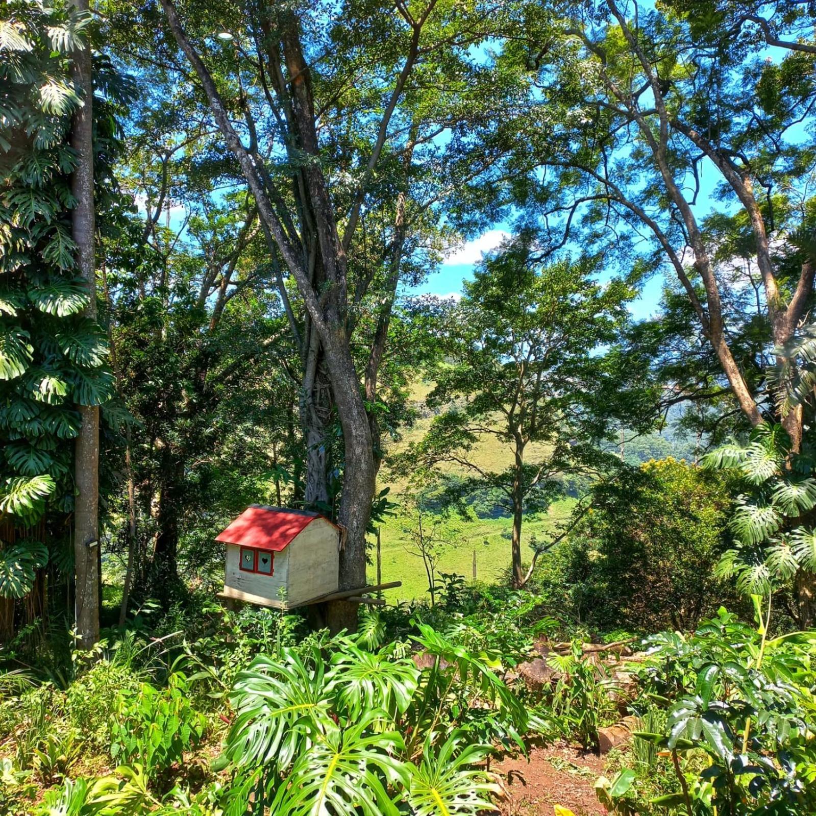 Gillitts Highview Lodge מראה חיצוני תמונה